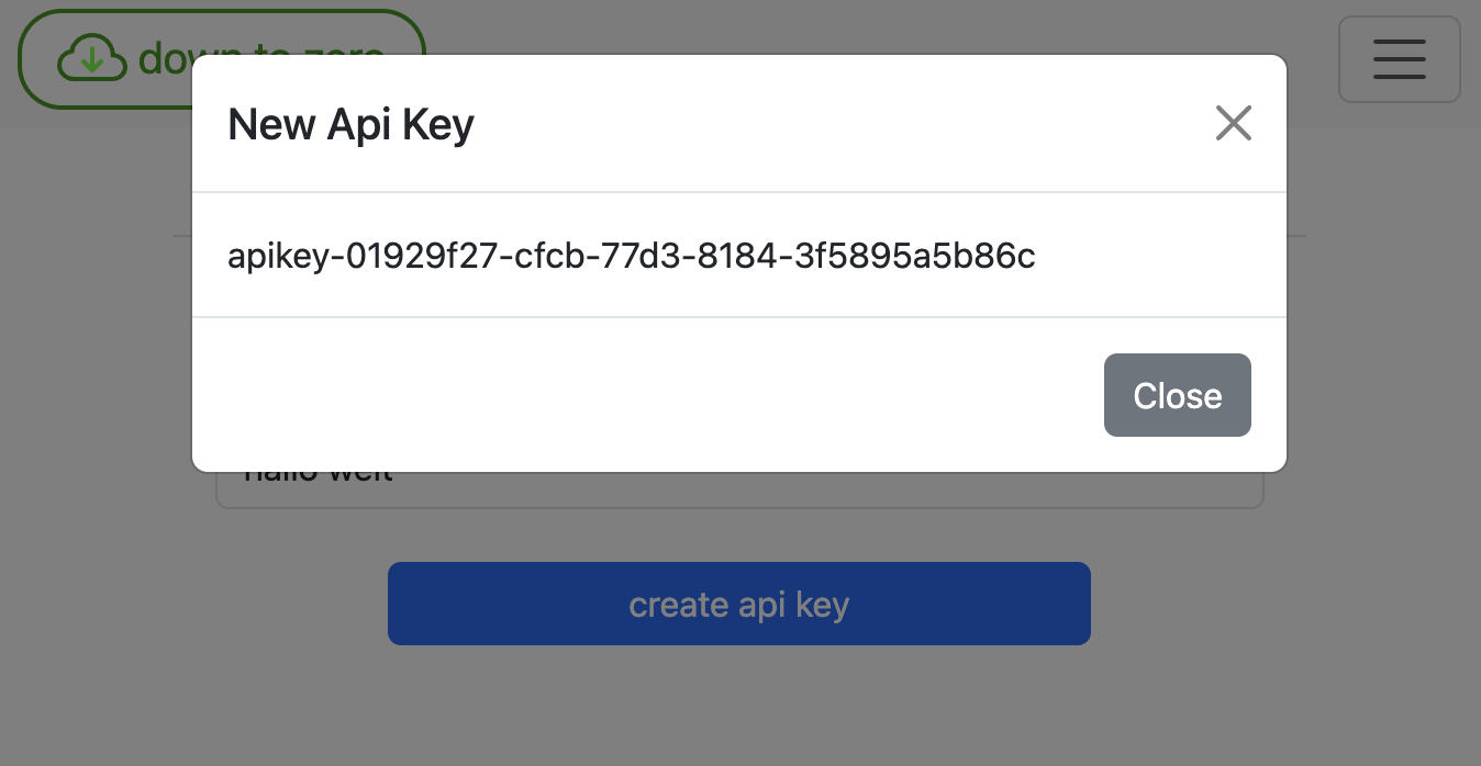 New Api Key Page